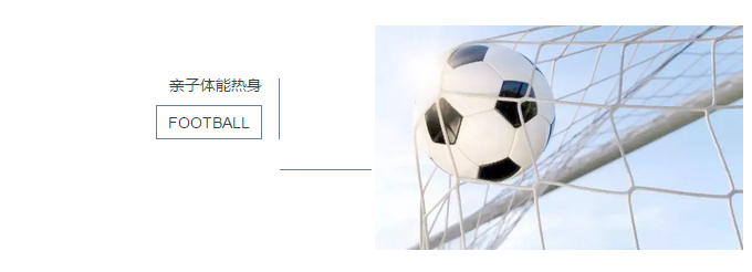 5ac1a47250ae7.png