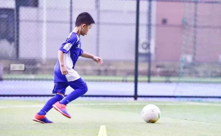 5d3809608c985.jpg
